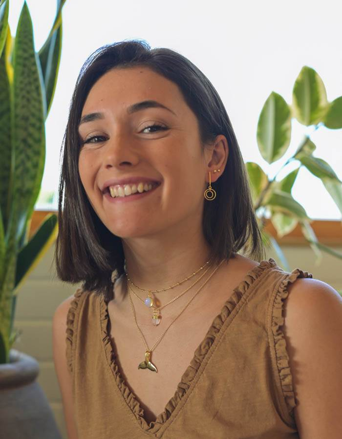 COLLAR BALLENA MARES DEL SUR PLATA