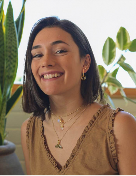 COLLAR BALLENA MARES DEL SUR PLATA