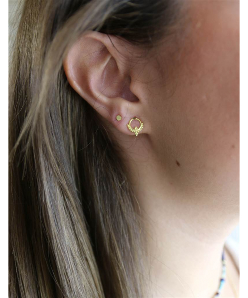 PENDIENTES  LUNAS,... 2