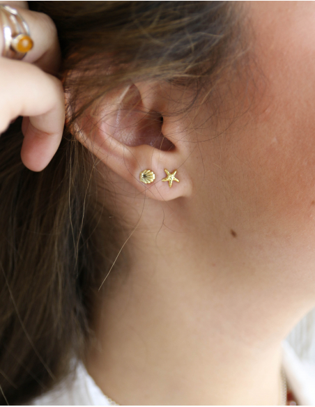 PENDIENTES  ESTRELLAS, INSECTOS,CONCHAS, CORAZONES ORO