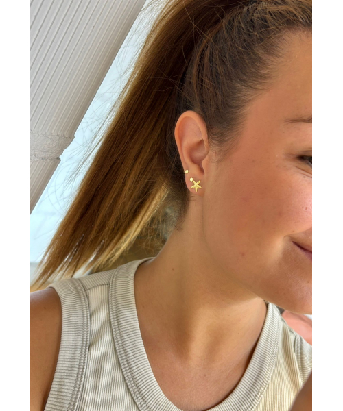 PENDIENTES ESTRLLA DE MAR ORO 2