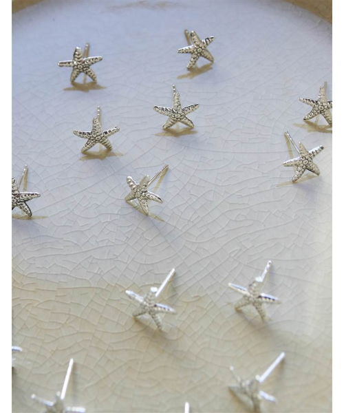 PENDIENTES ESTRELLA DE MAR... 2