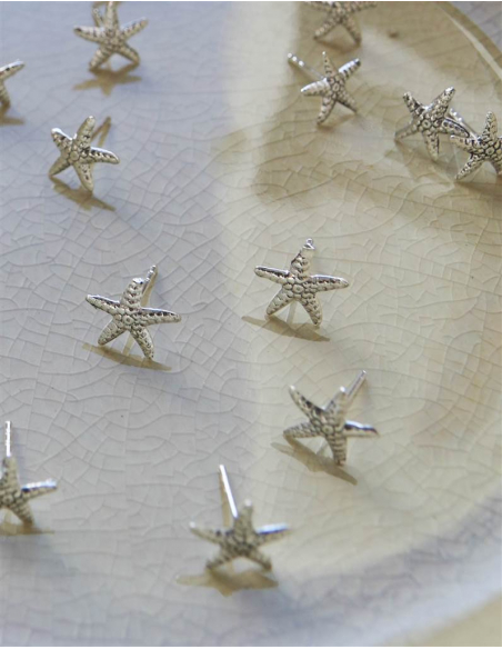 PENDIENTES ESTRELLA DE MAR PLATA