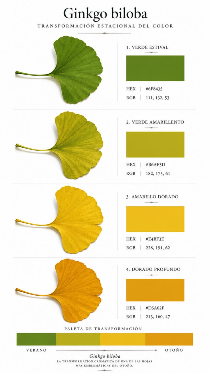 PENDIENTES GINKGO BILOBA