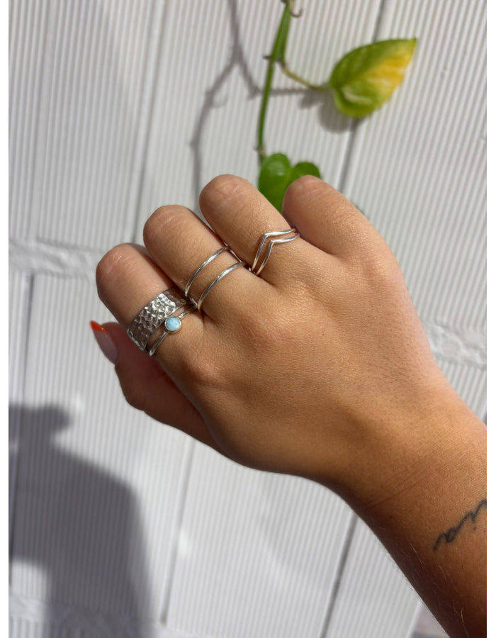 ANILLO DOBLE PLATA