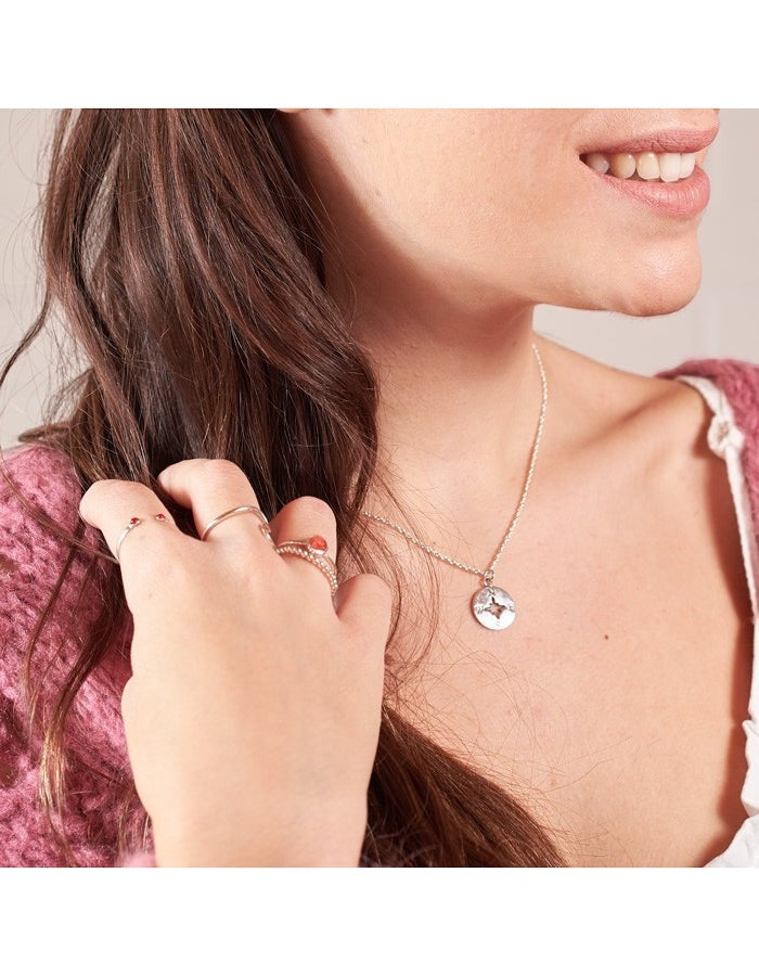 COLGANTE ROSA DE LOS VIENTOS