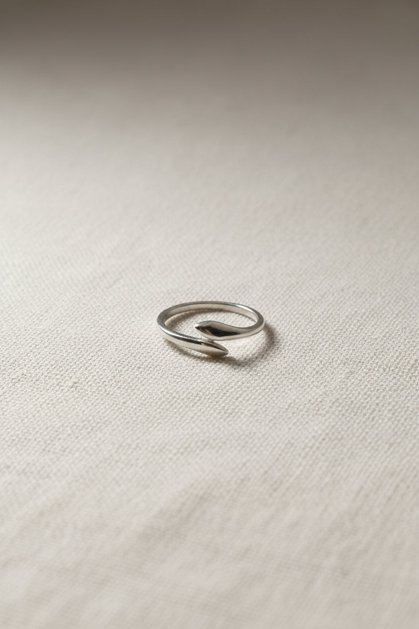 ANILLO MUDA